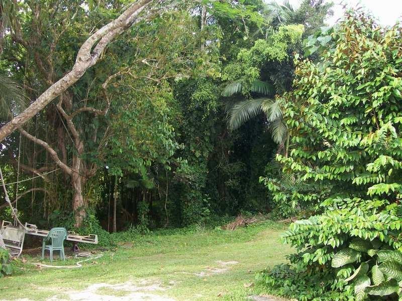 28 Batchelor Street, Innisfail QLD 4860