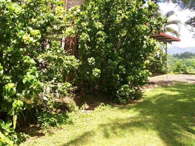5 Camp Creek, Camp Creek QLD 4871