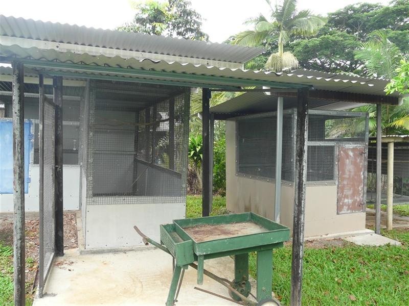 3 Radlof Street, South Johnstone QLD 4859