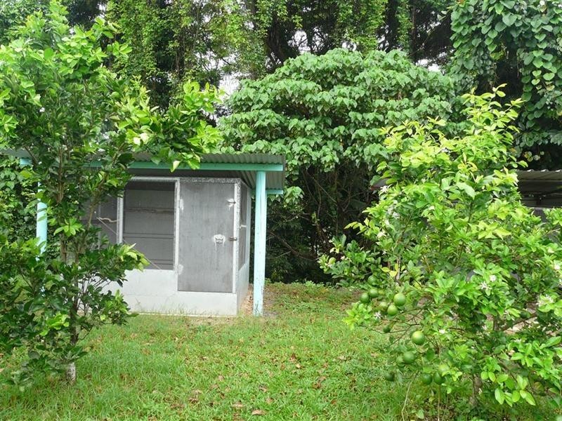 3 Radlof Street, South Johnstone QLD 4859