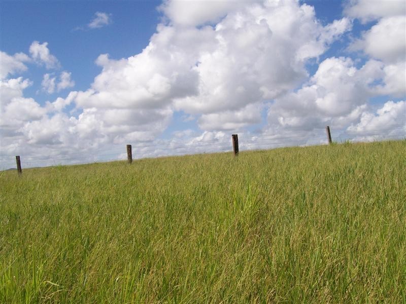 55 Belvedere Avenue, Belvedere QLD 4860