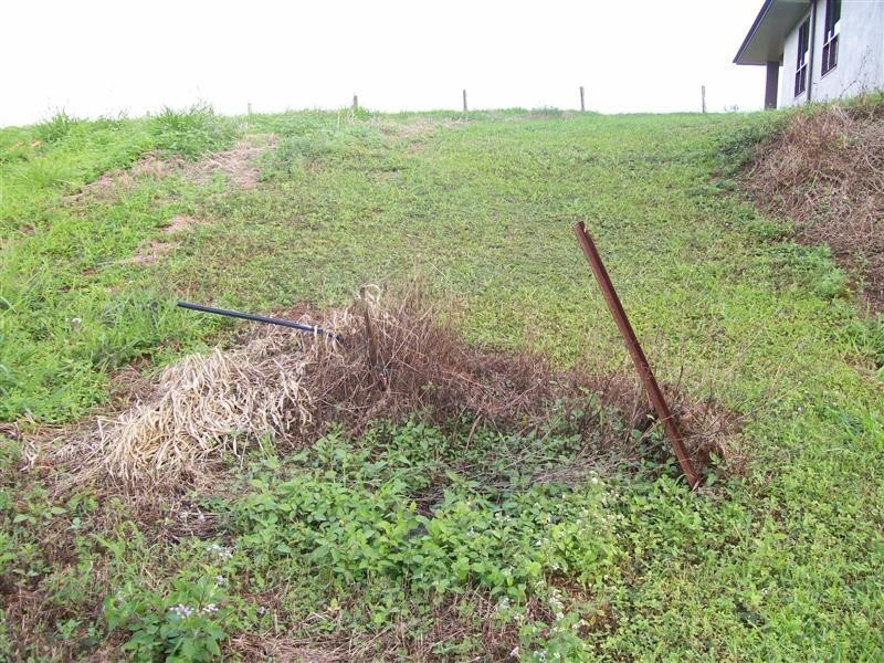 55 Belvedere Avenue, Belvedere QLD 4860