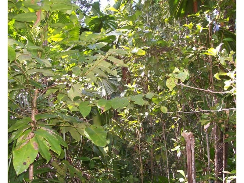 L21 Waterfall Place, Jubilee Heights QLD 4860