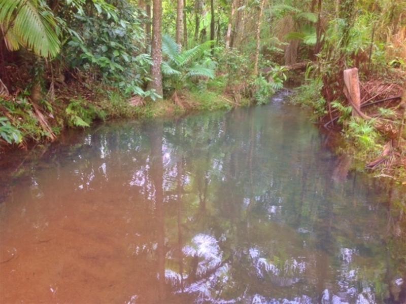 189 Beahr Road, Utchee Creek QLD 4871