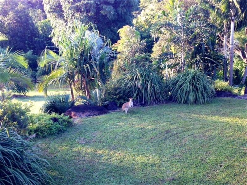 189 Beahr Road, Utchee Creek QLD 4871