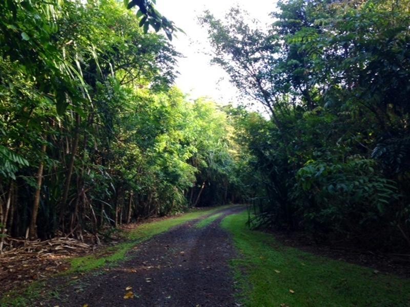 189 Beahr Road, Utchee Creek QLD 4871