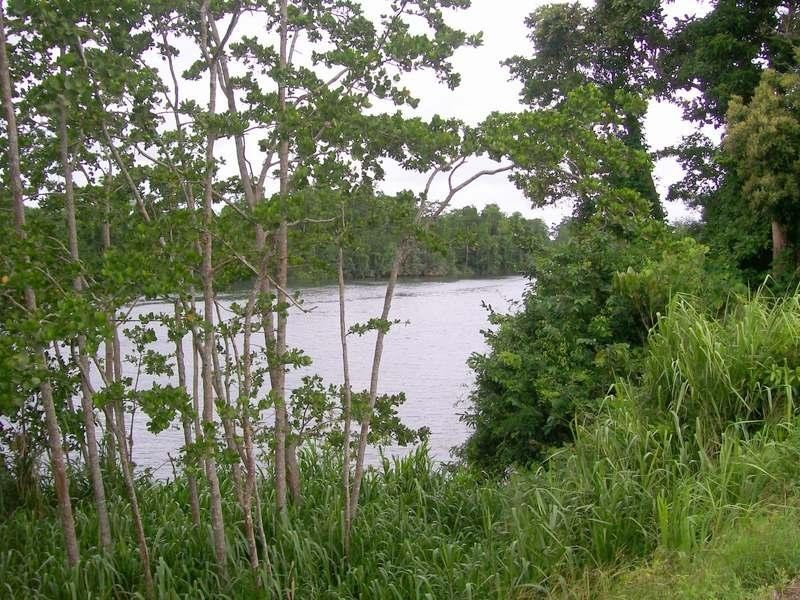 124 River Avenue, Innisfail QLD 4860