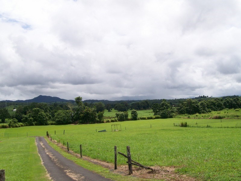 427 Palmerston Highway, O’briens Hill QLD 4860