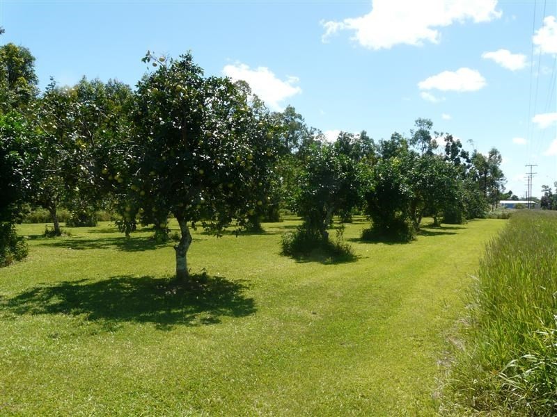 Lot 2 Crupi Road, El Arish QLD 4855