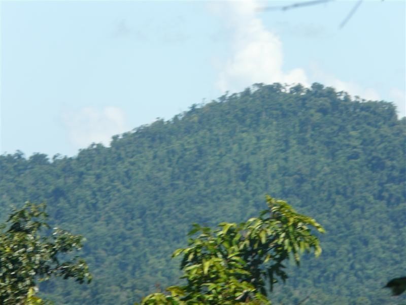 Lot 2 Crupi Road, El Arish QLD 4855