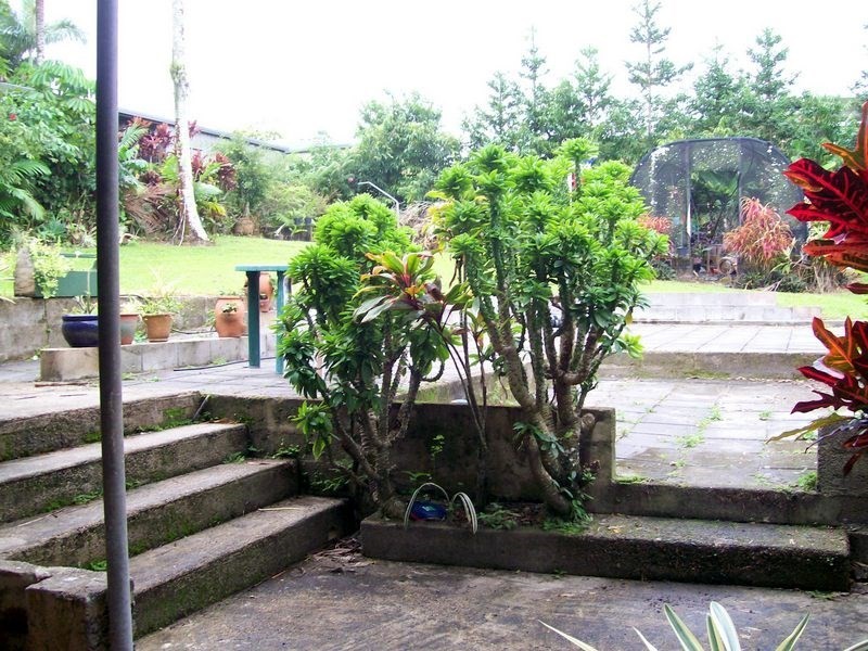 41 Ryan Street, East Innisfail QLD 4860