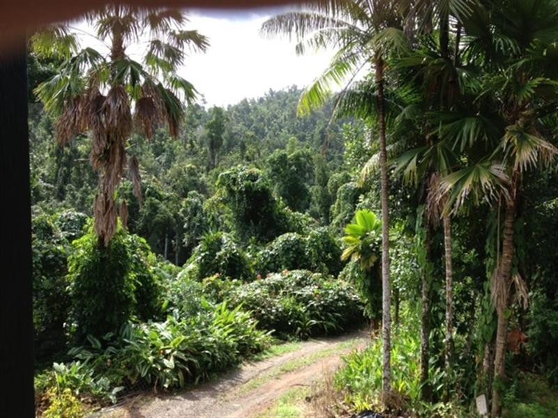 Lot 1 Whing Creek Road, Shell Pocket QLD 4855