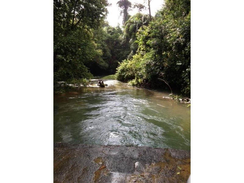 Lot 1 Whing Creek Road, Shell Pocket, Tully QLD 4854