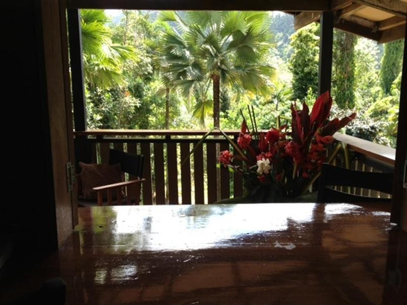 Lot 1 Whing Creek Road, Shell Pocket, Tully QLD 4854