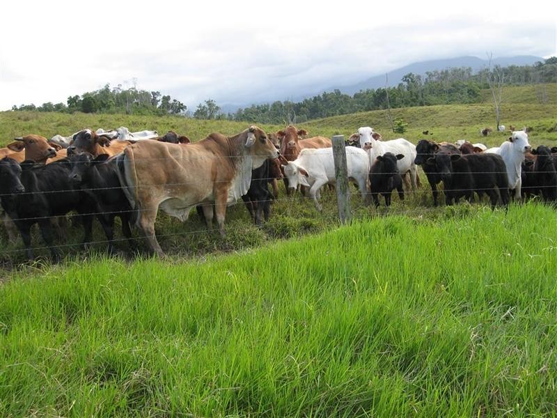 66477 Bruce Highway, Woopen Creek QLD 4871