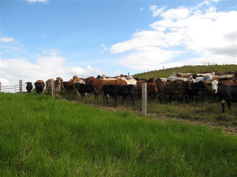 66477 Bruce Highway, Woopen Creek QLD 4871