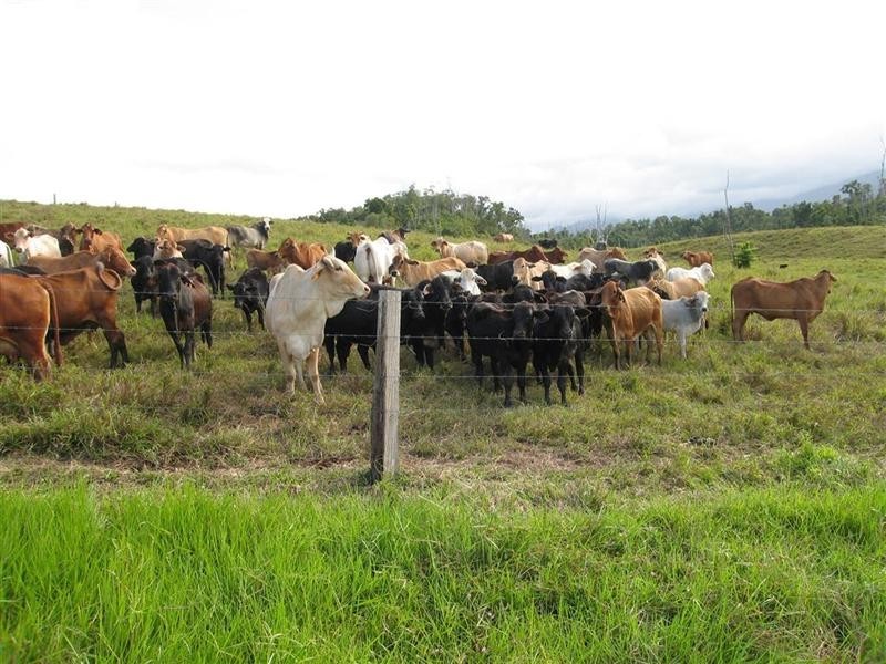 66477 Bruce Highway, Woopen Creek QLD 4871