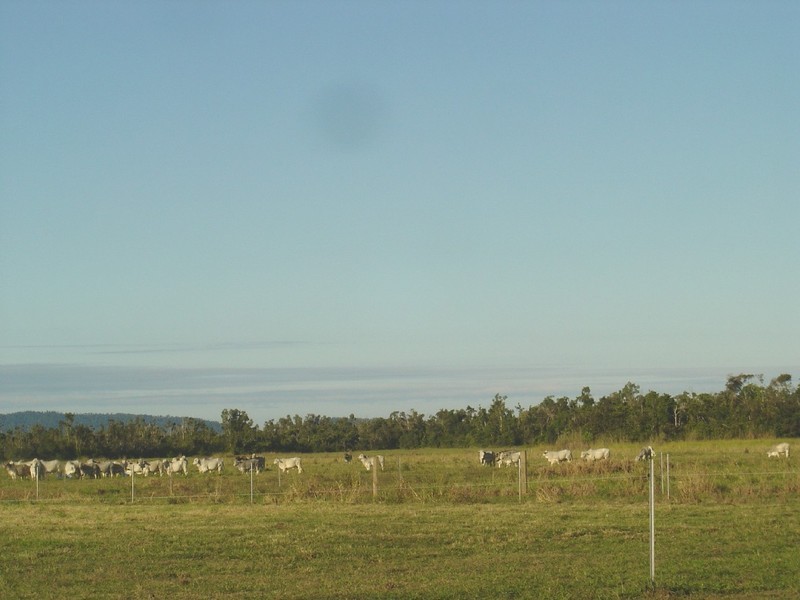 87 GUNDAH SINGH, Innisfail Estate QLD 4860