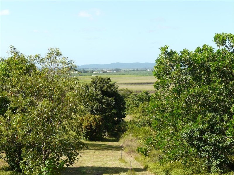 106 Wilkie-Grey Road, Boogan QLD 4871