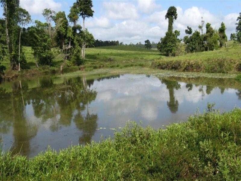 2323 Palmerston Highway, East Palmerston QLD 4860