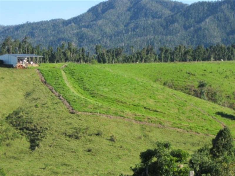 2323 Palmerston Highway, East Palmerston QLD 4860