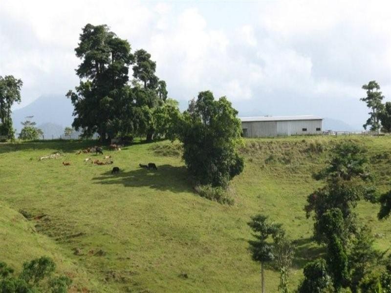 2323 Palmerston Highway, East Palmerston QLD 4860