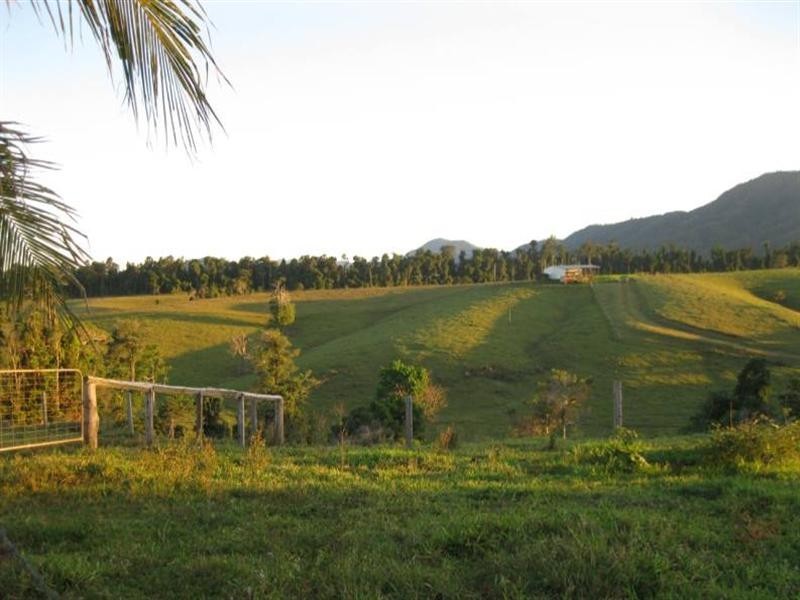 2323 Palmerston Highway, East Palmerston QLD 4860