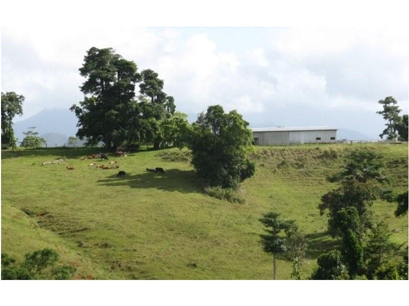 2323 Palmerston Highway, East Palmerston QLD 4860