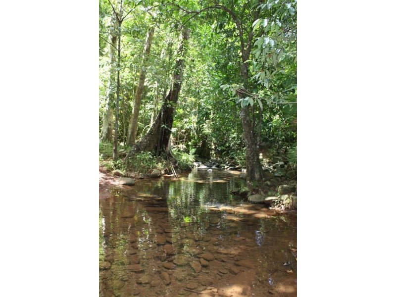 787a Palmerston Highway, Pin Gin Hill QLD 4860