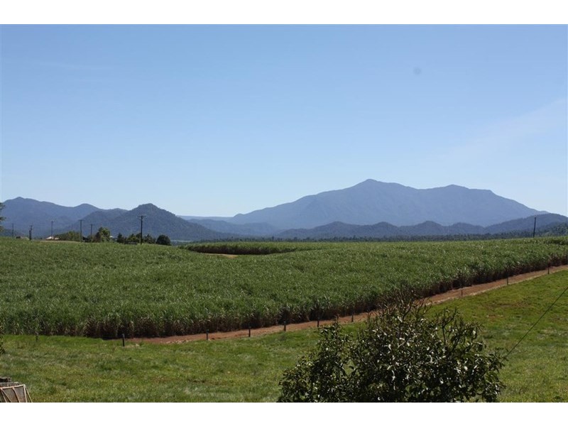 787a Palmerston Highway, Pin Gin Hill QLD 4860