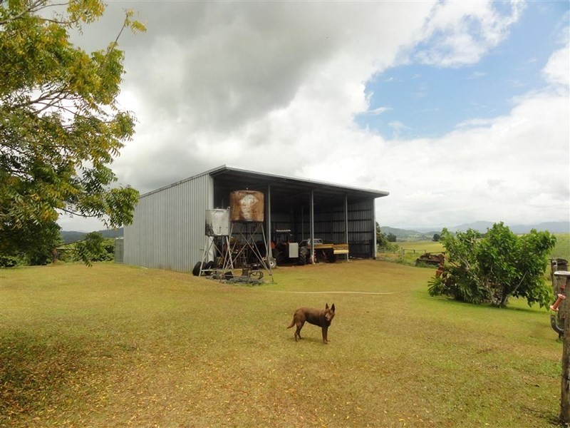 787a Palmerston Highway, Pin Gin Hill QLD 4860