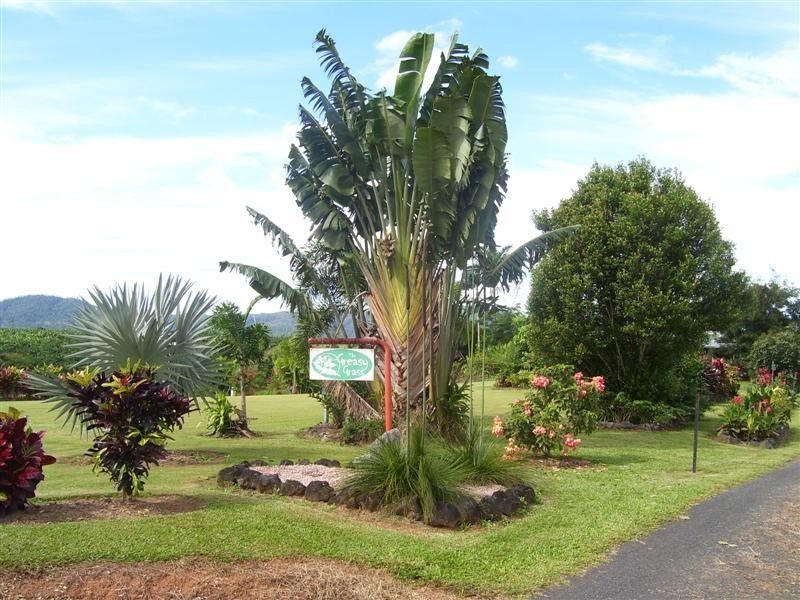 41 Brincat Road, Mena Creek QLD 4871