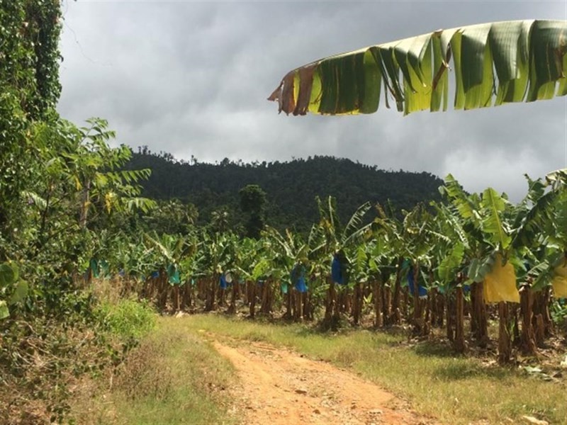 Lots Bingil Bay Road, Bingil Bay QLD 4852