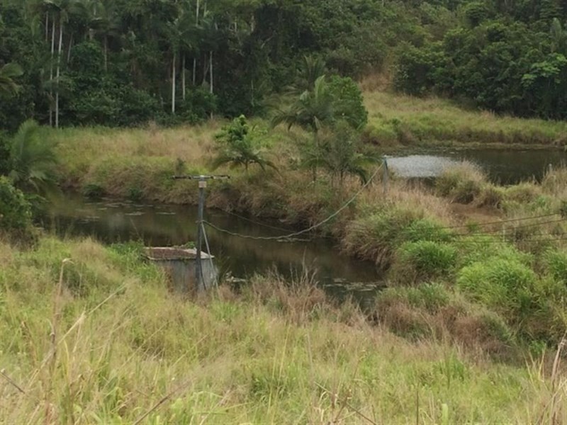 Lots Bingil Bay Road, Bingil Bay QLD 4852