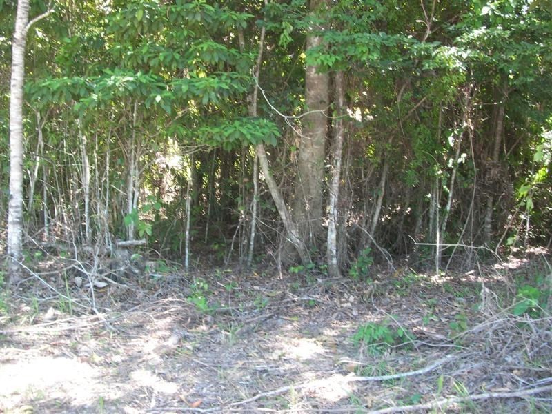 Lot 26 and 27 Sparrow Street(Johnstone), Mourilyan Harbour QLD 4858