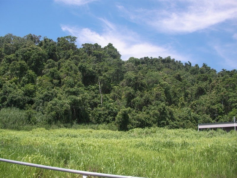 68877 Bruce Highway, Deeral QLD 4871