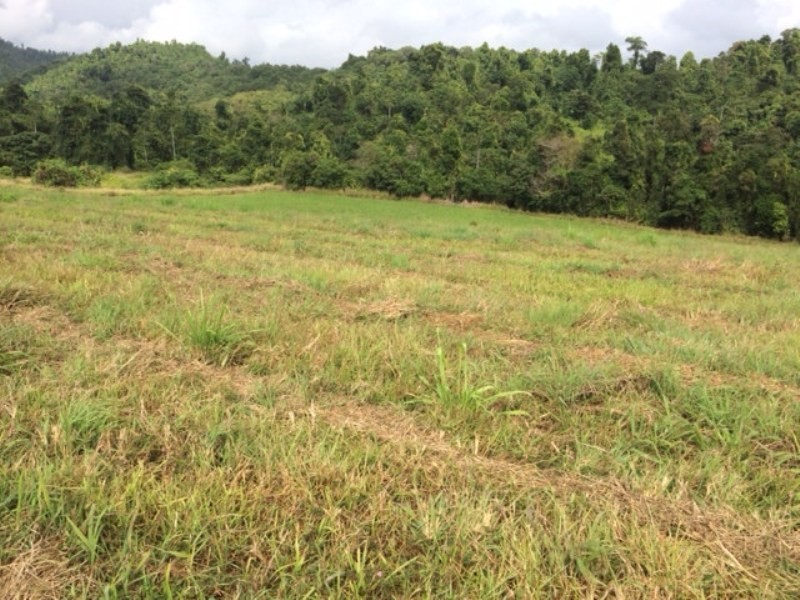 Lot 1 PALMERSTON Highway, Coorumba QLD 4860