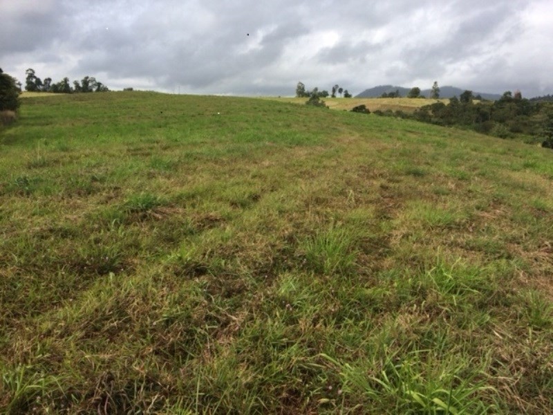Lot 1 PALMERSTON Highway, Coorumba QLD 4860