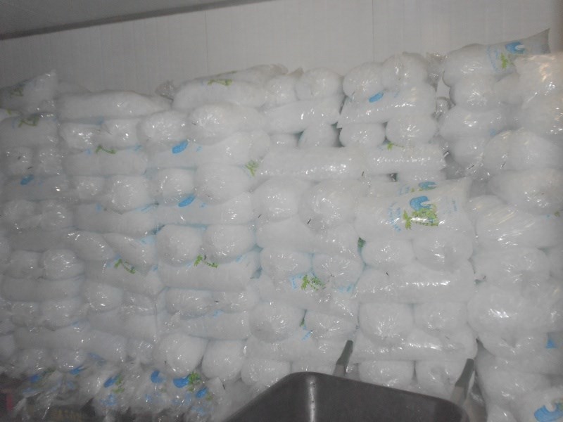 LOT 1 ESPLANADE, Coconuts QLD 4860