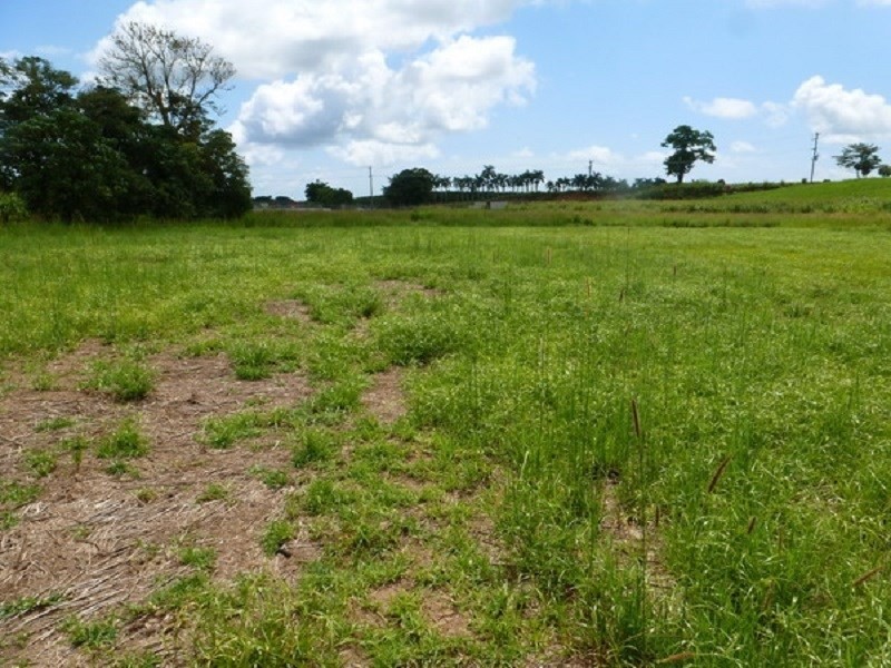 LOT 1 SHAW Road, O’briens Hill QLD 4860