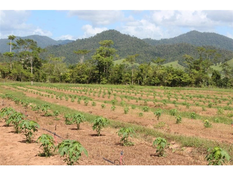 Lots Sammut Road, Japoonvale QLD 4856