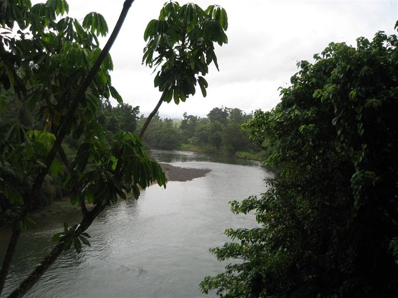 307 No 6 Branch Road, South Johnstone QLD 4859