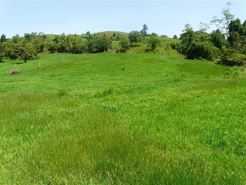 307 No 6 Branch Road, South Johnstone QLD 4859