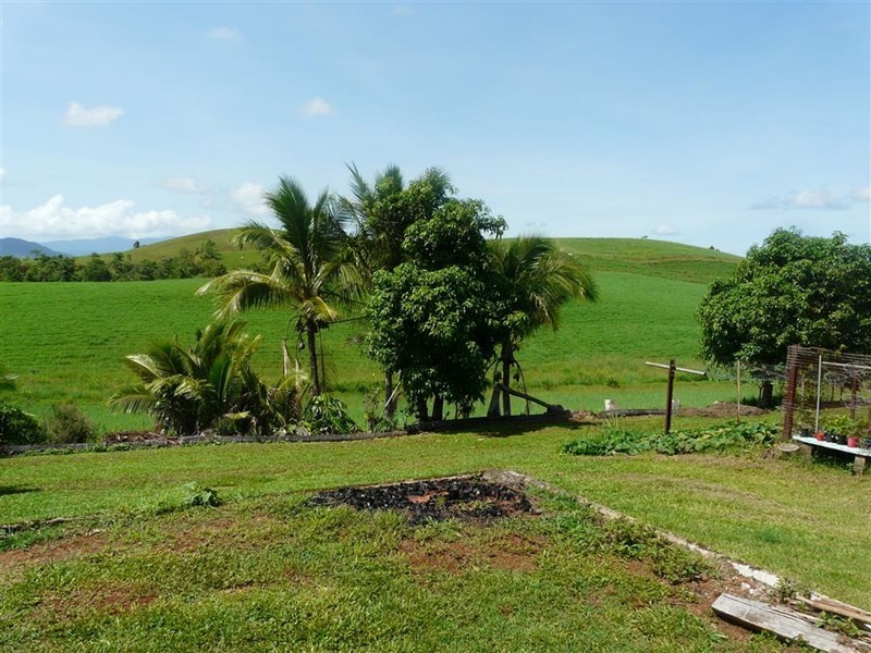 307 No 6 Branch Road, South Johnstone QLD 4859