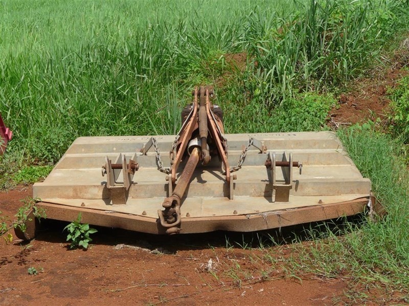 307 No 6 Branch Road, South Johnstone QLD 4859