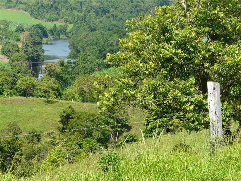 307 No 6 Branch Road, South Johnstone QLD 4859