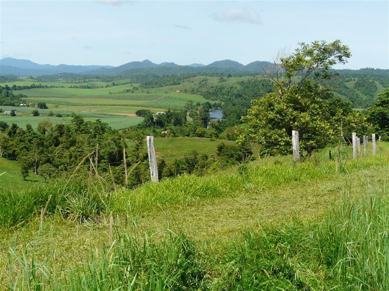 307 No 6 Branch Road, South Johnstone QLD 4859