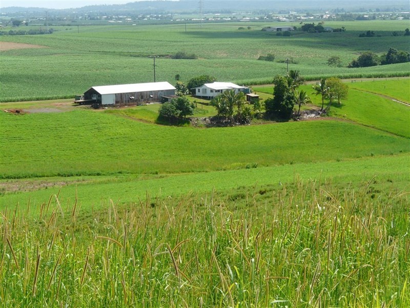 307 No 6 Branch Road, South Johnstone QLD 4859