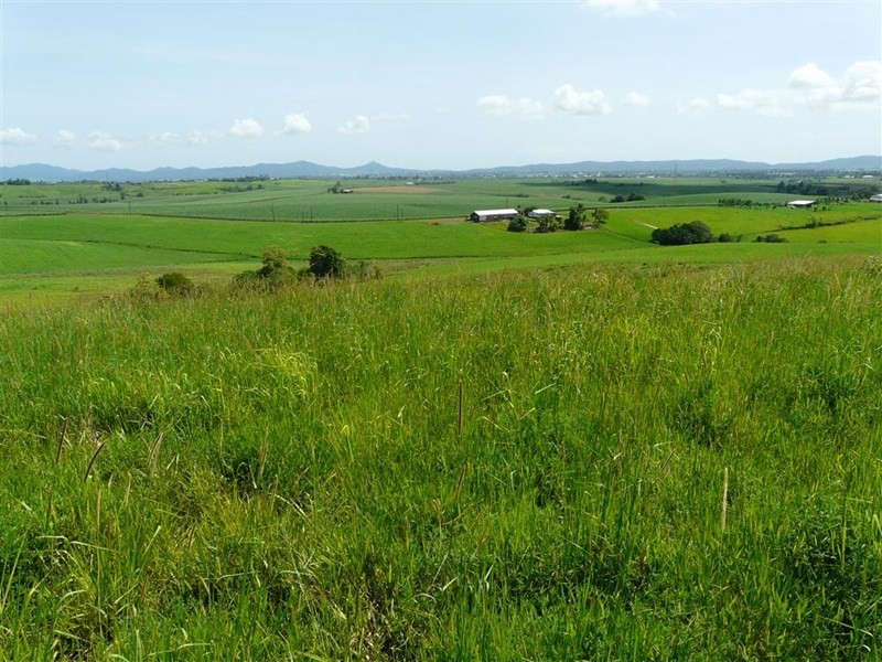 307 No 6 Branch Road, South Johnstone QLD 4859