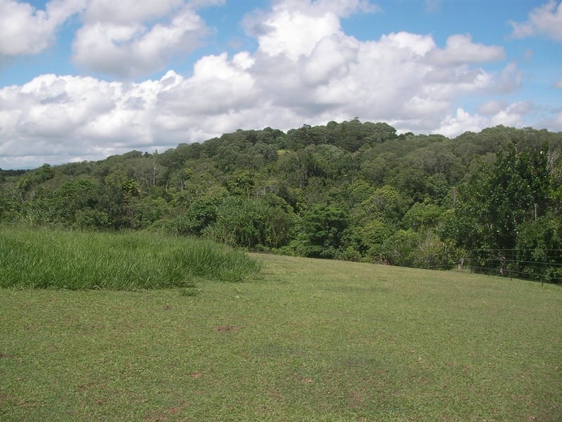 102 Eubenangee Road, Eubenangee QLD 4860